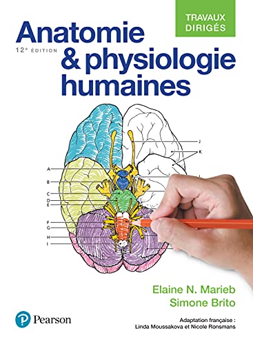 Anatomie Et Physiologie 12e Ed Travaux Diriges