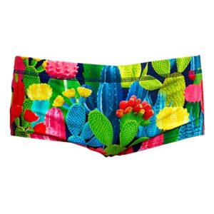 Boxer Maillot De Natation Funky Trunks Cacti 3